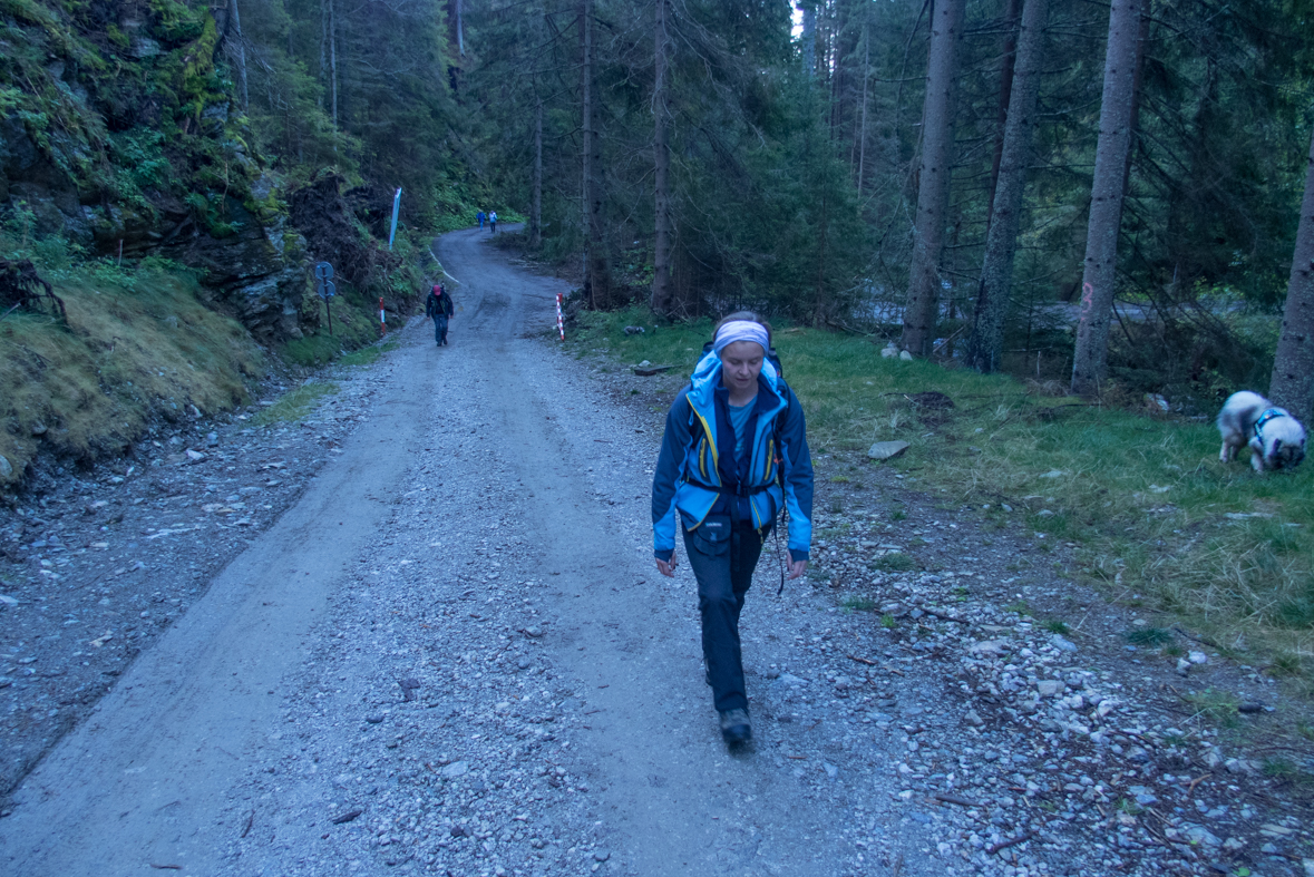 Baníkov zo Žiarskej doliny (Západné Tatry)