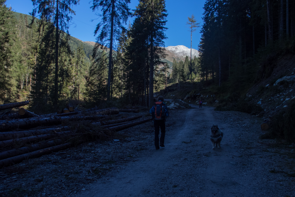 Baníkov zo Žiarskej doliny (Západné Tatry)