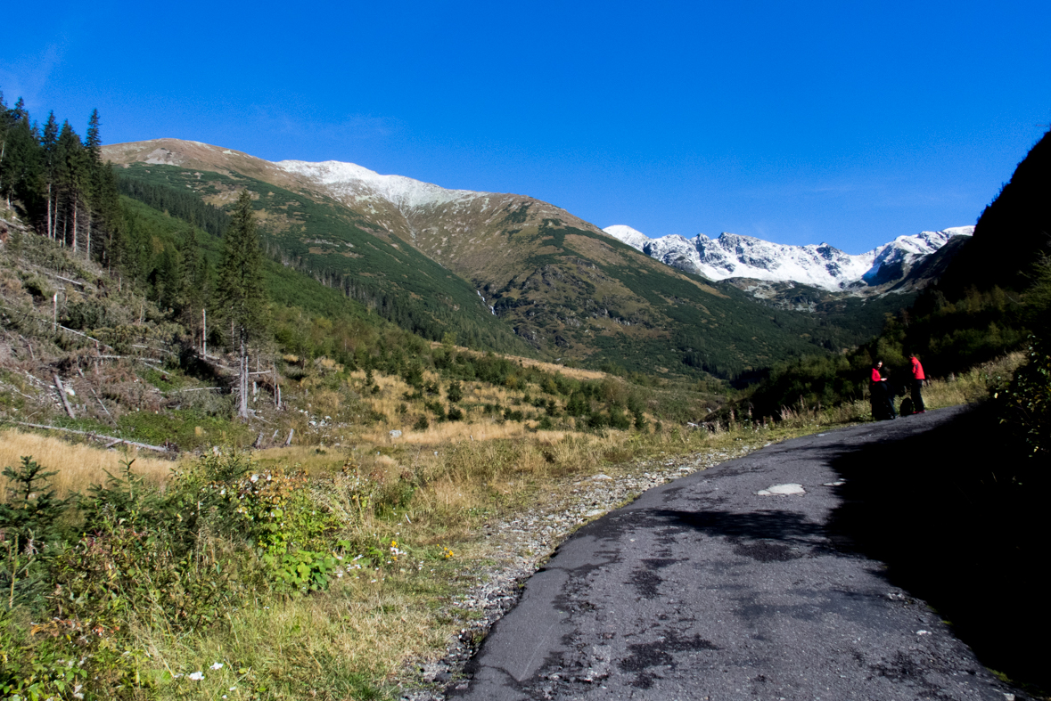 Baníkov zo Žiarskej doliny (Západné Tatry)