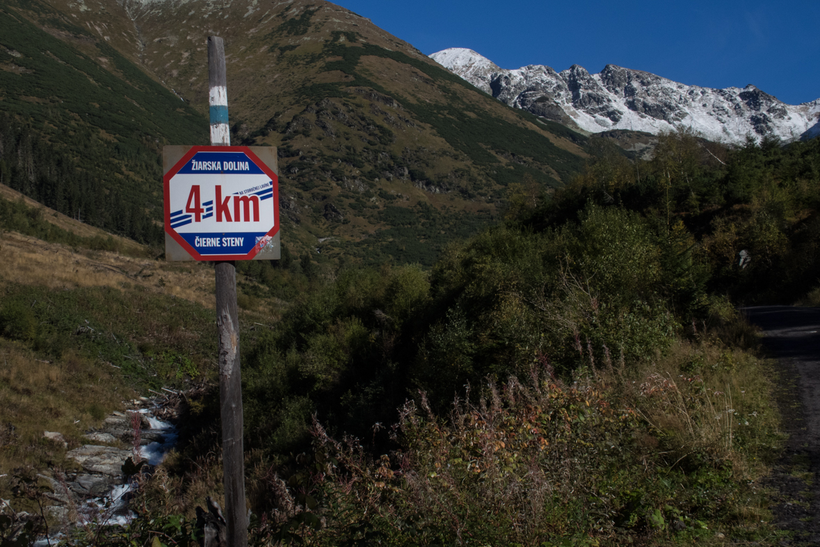 Baníkov zo Žiarskej doliny (Západné Tatry)