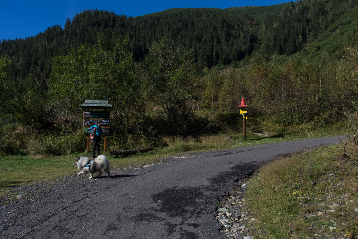 Baníkov zo Žiarskej doliny (Západné Tatry)