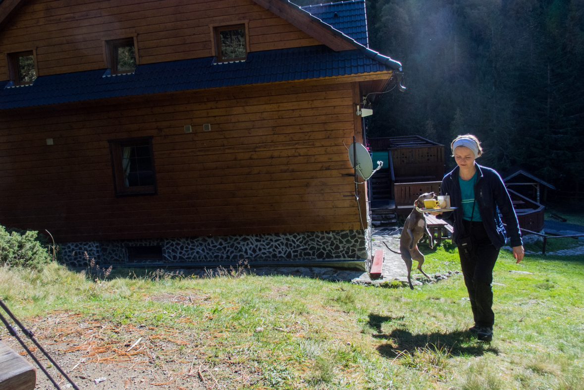 Baníkov zo Žiarskej doliny (Západné Tatry)