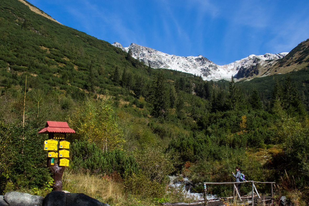 Baníkov zo Žiarskej doliny (Západné Tatry)