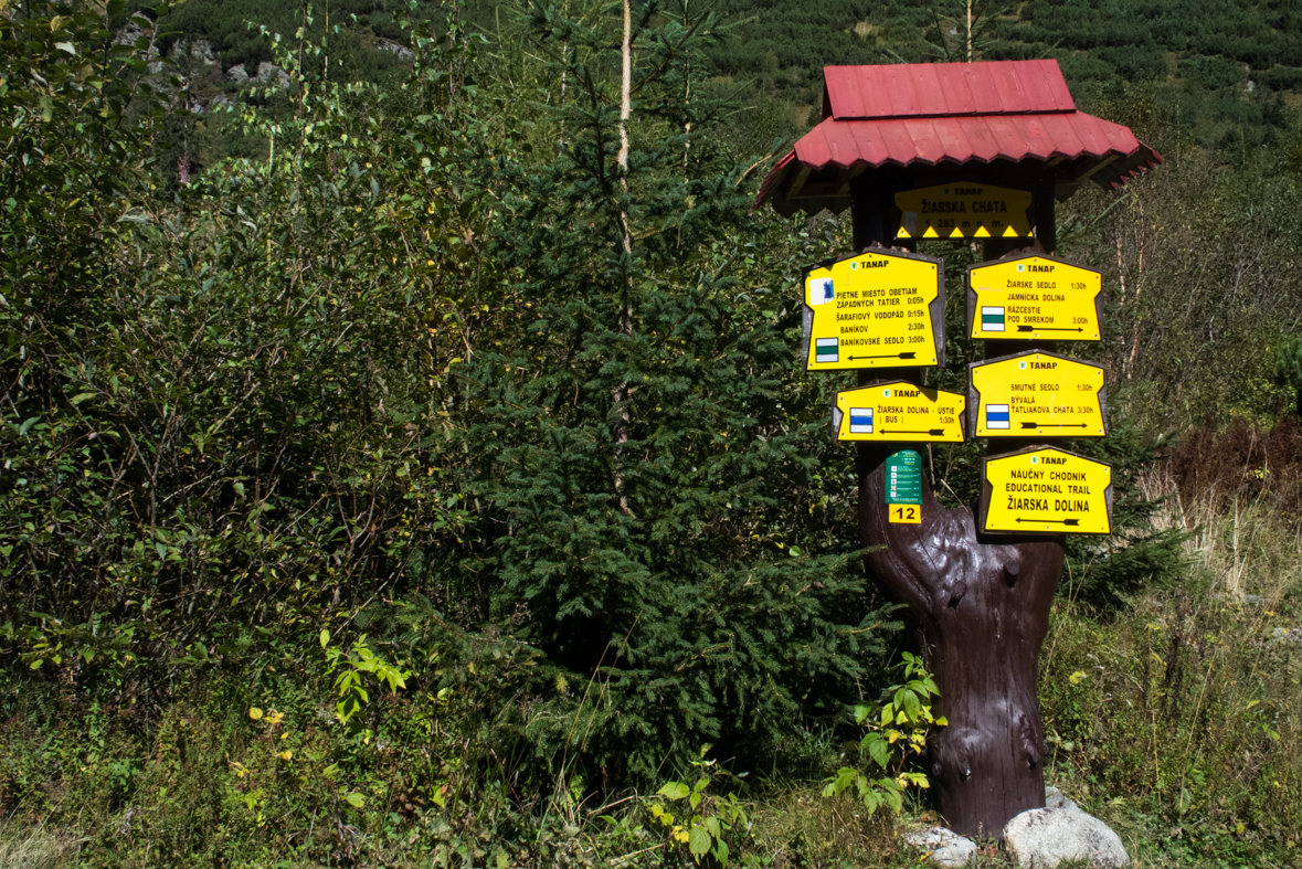 Baníkov zo Žiarskej doliny (Západné Tatry)