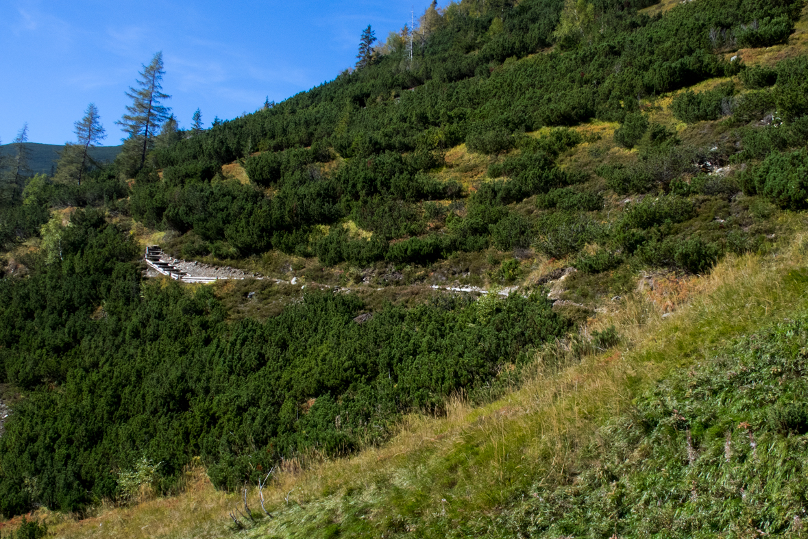 Baníkov zo Žiarskej doliny (Západné Tatry)