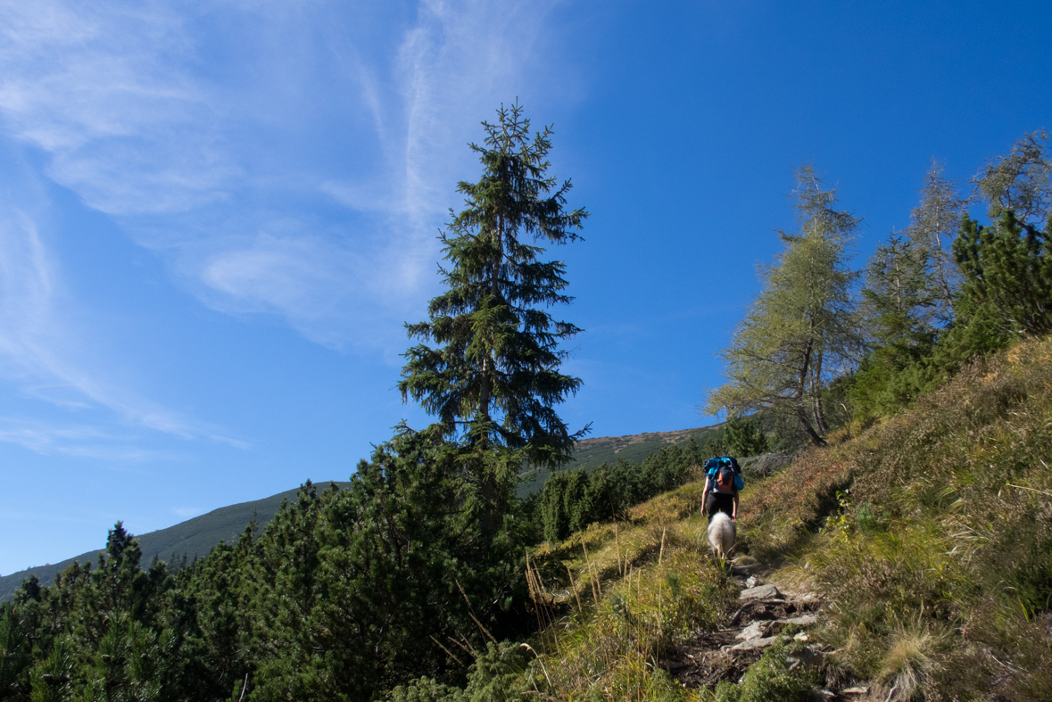 Baníkov zo Žiarskej doliny (Západné Tatry)