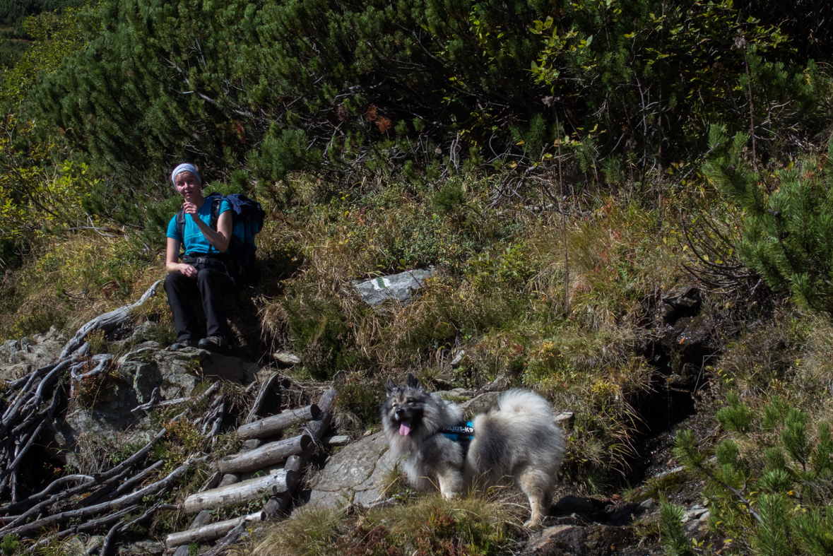 Baníkov zo Žiarskej doliny (Západné Tatry)