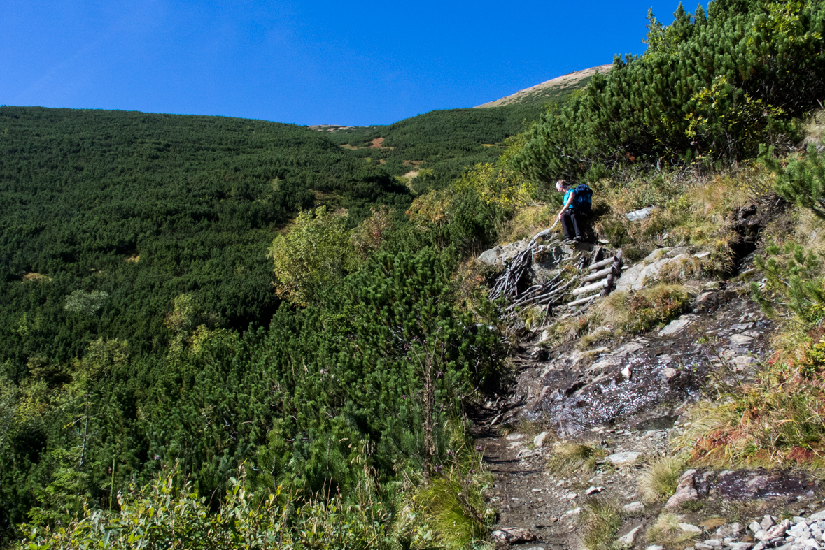 Baníkov zo Žiarskej doliny (Západné Tatry)