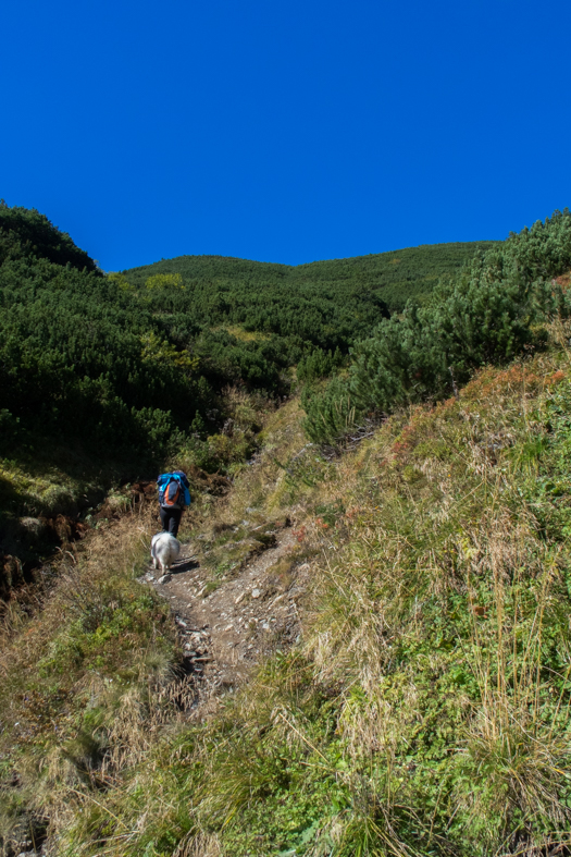 Baníkov zo Žiarskej doliny (Západné Tatry)