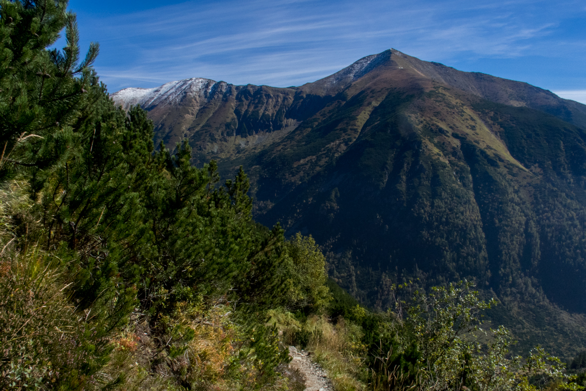 Baníkov zo Žiarskej doliny (Západné Tatry)