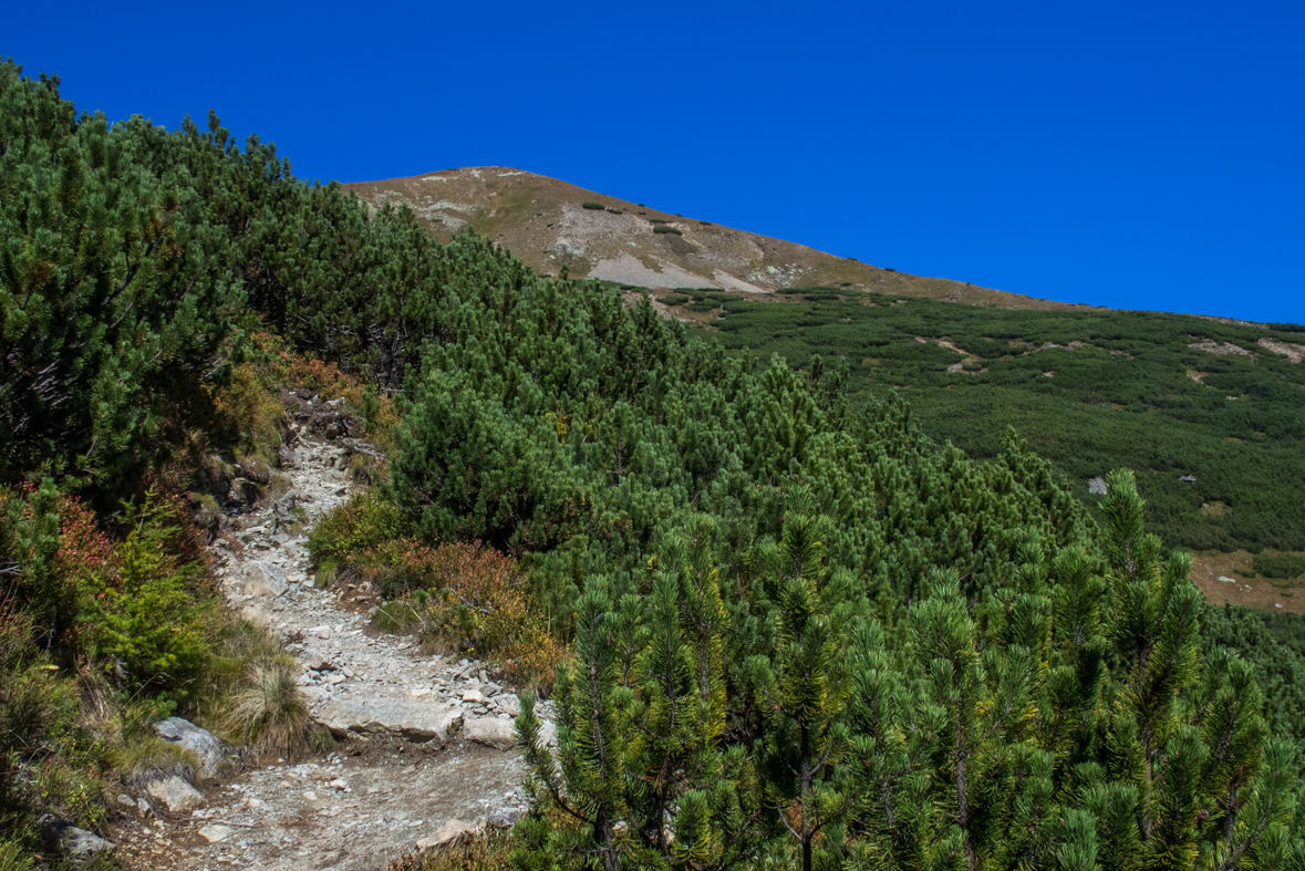 Baníkov zo Žiarskej doliny (Západné Tatry)