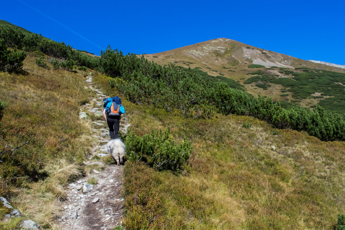 Baníkov zo Žiarskej doliny (Západné Tatry)