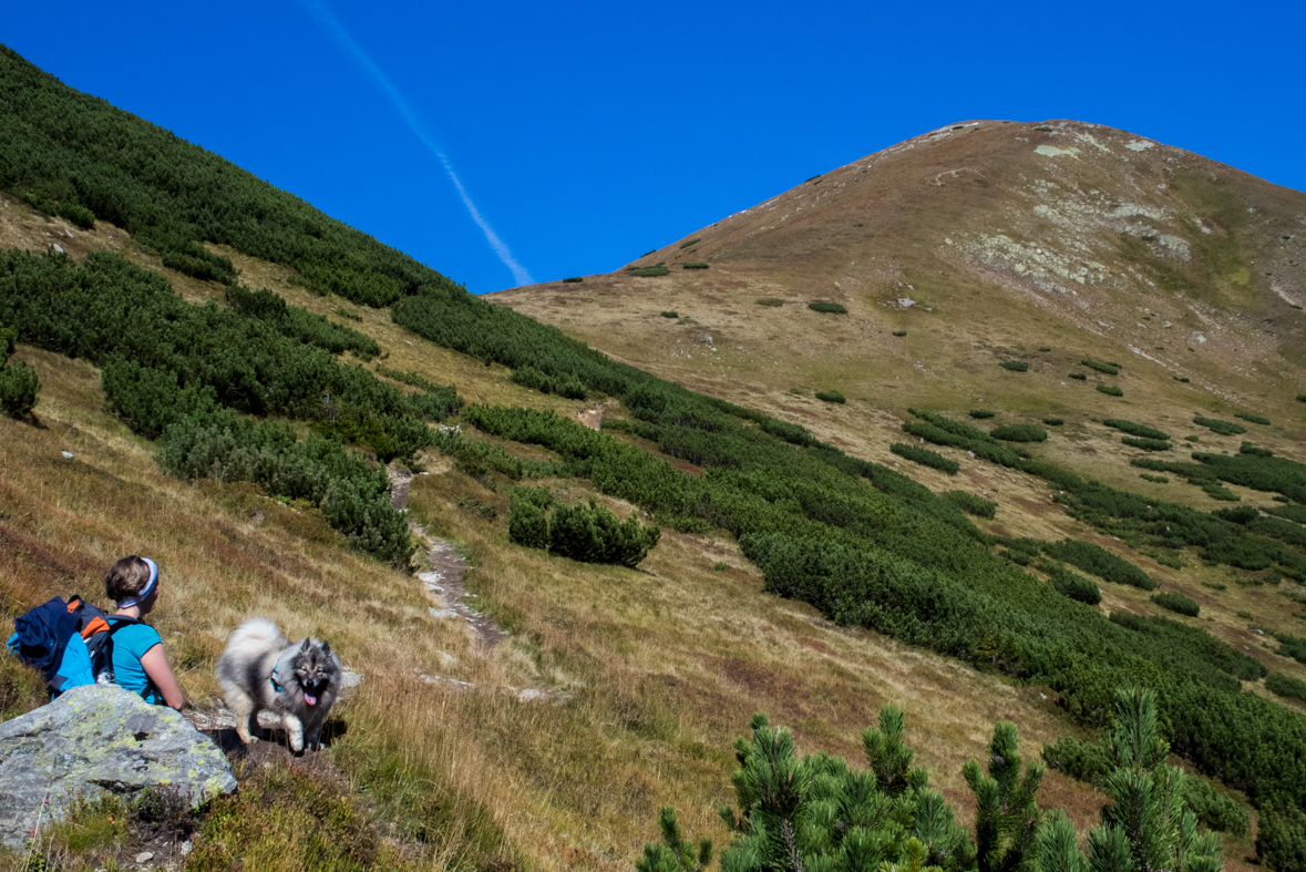 Baníkov zo Žiarskej doliny (Západné Tatry)