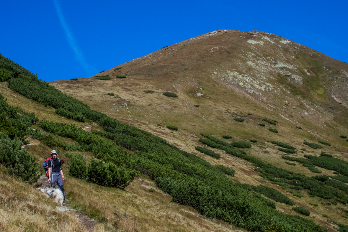 Baníkov zo Žiarskej doliny (Západné Tatry)