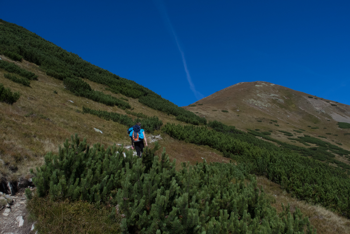 Baníkov zo Žiarskej doliny (Západné Tatry)