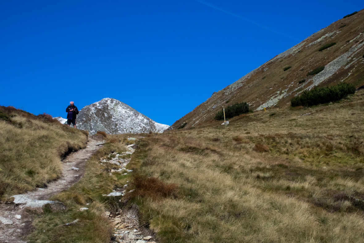 Baníkov zo Žiarskej doliny (Západné Tatry)