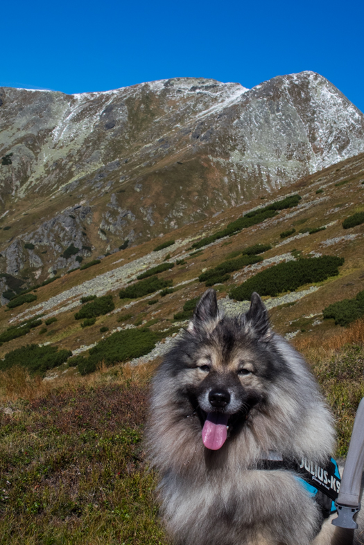 Baníkov zo Žiarskej doliny (Západné Tatry)