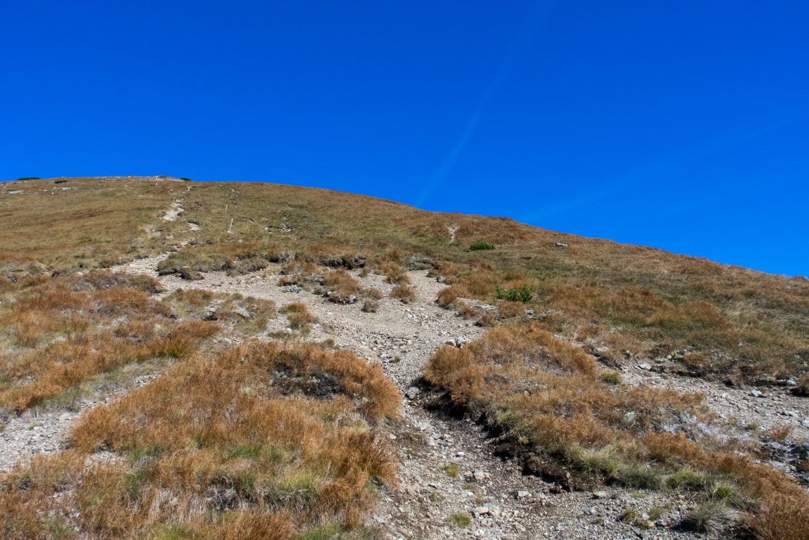 Baníkov zo Žiarskej doliny (Západné Tatry)