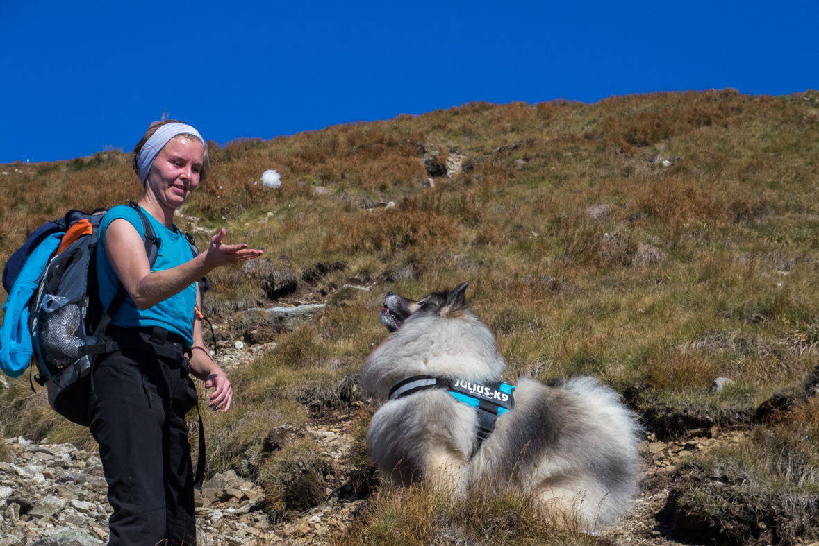 Baníkov zo Žiarskej doliny (Západné Tatry)