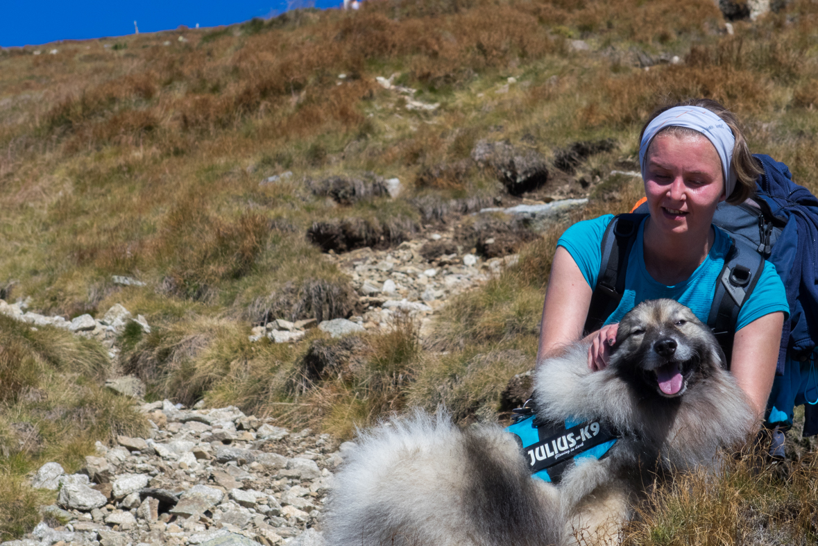 Baníkov zo Žiarskej doliny (Západné Tatry)