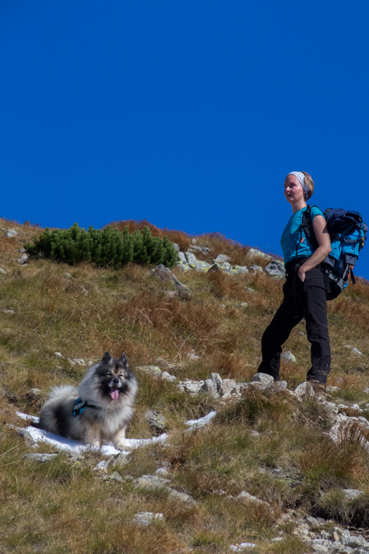 Baníkov zo Žiarskej doliny (Západné Tatry)