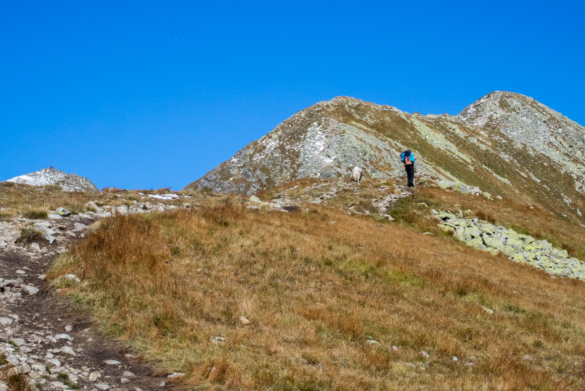 Baníkov zo Žiarskej doliny (Západné Tatry)