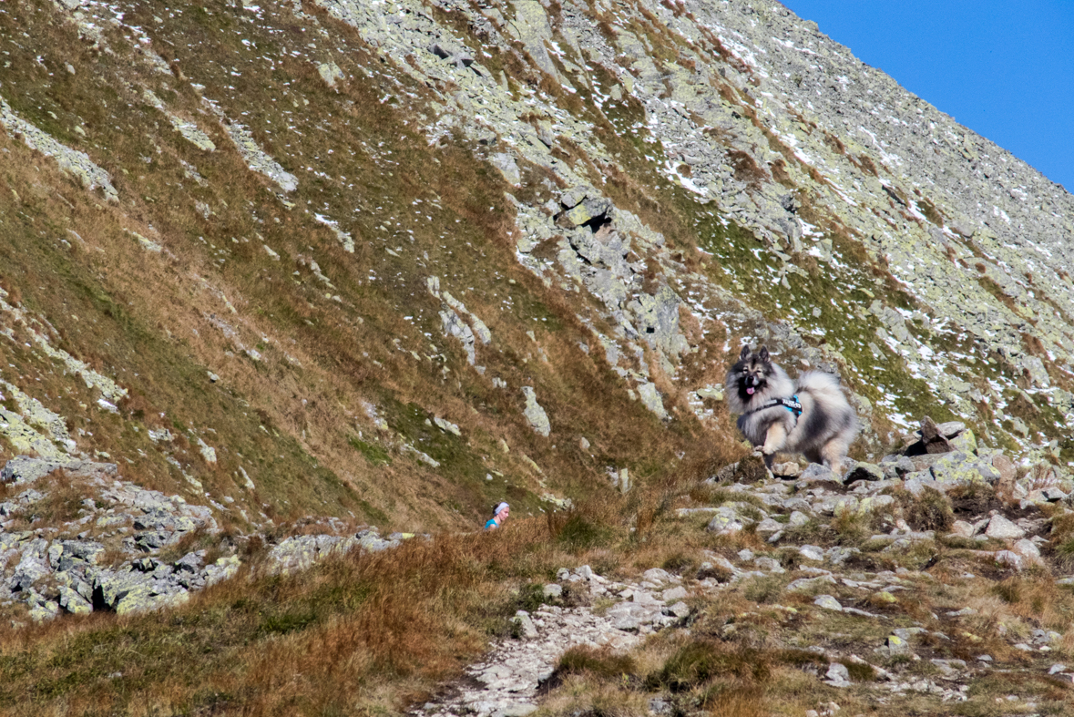 Baníkov zo Žiarskej doliny (Západné Tatry)