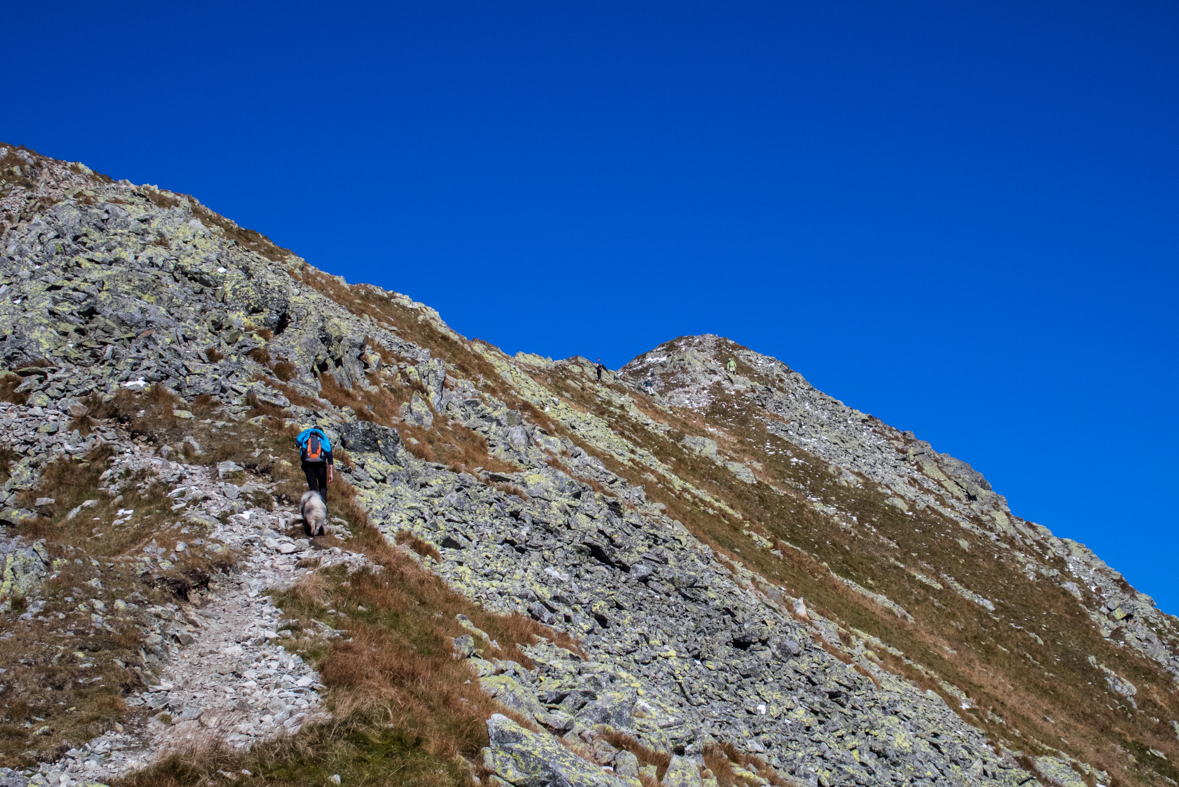 Baníkov zo Žiarskej doliny (Západné Tatry)