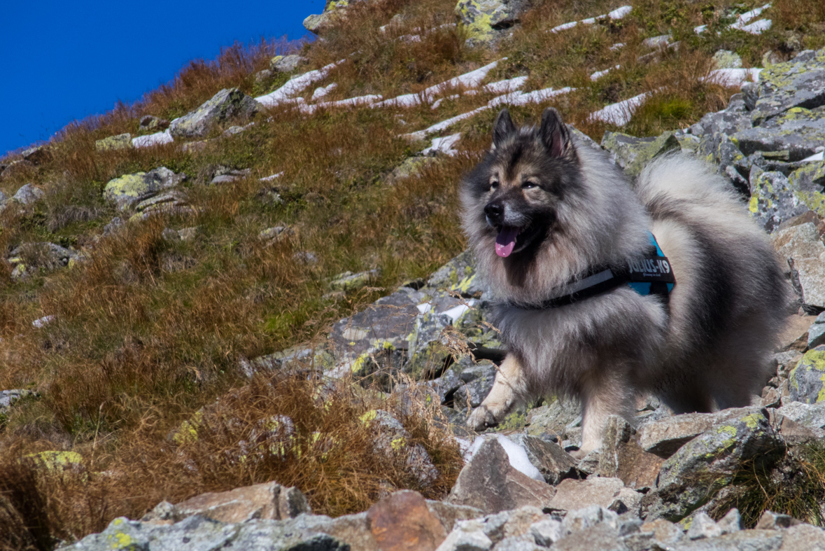 Baníkov zo Žiarskej doliny (Západné Tatry)