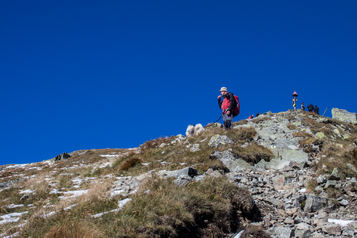 Baníkov zo Žiarskej doliny (Západné Tatry)