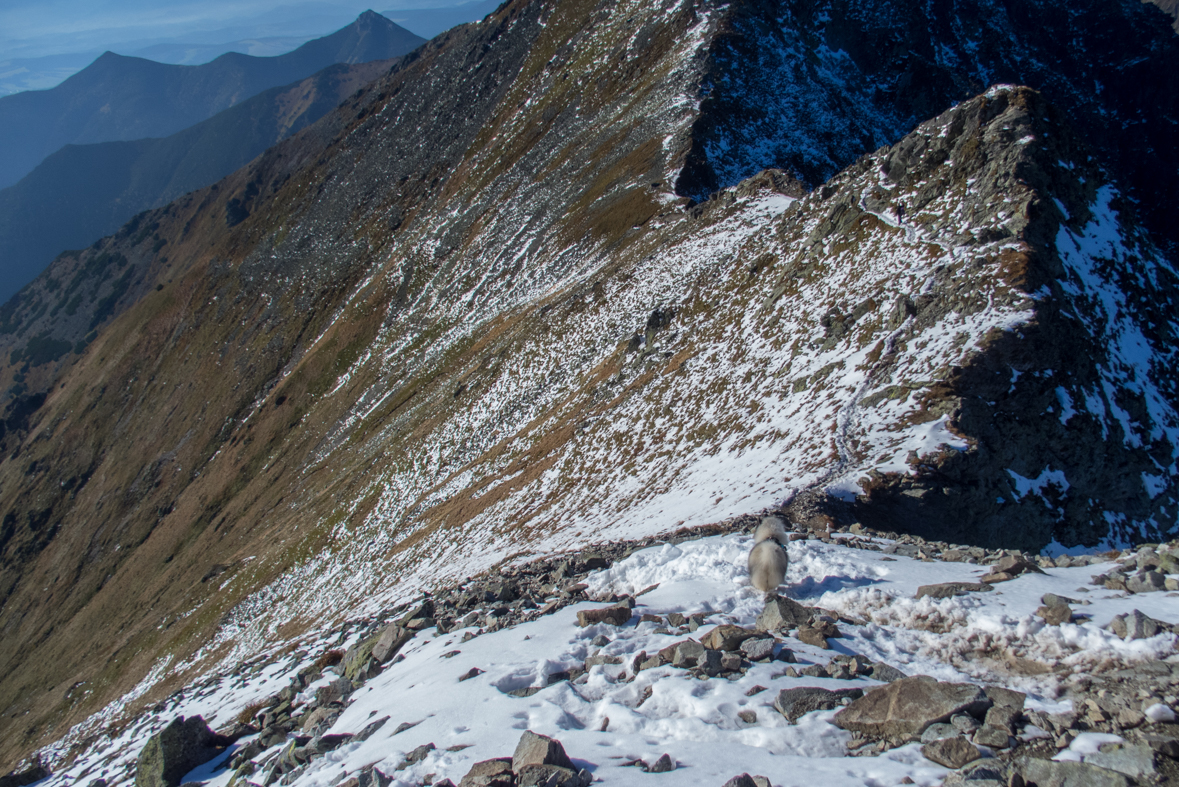 Baníkov zo Žiarskej doliny (Západné Tatry)