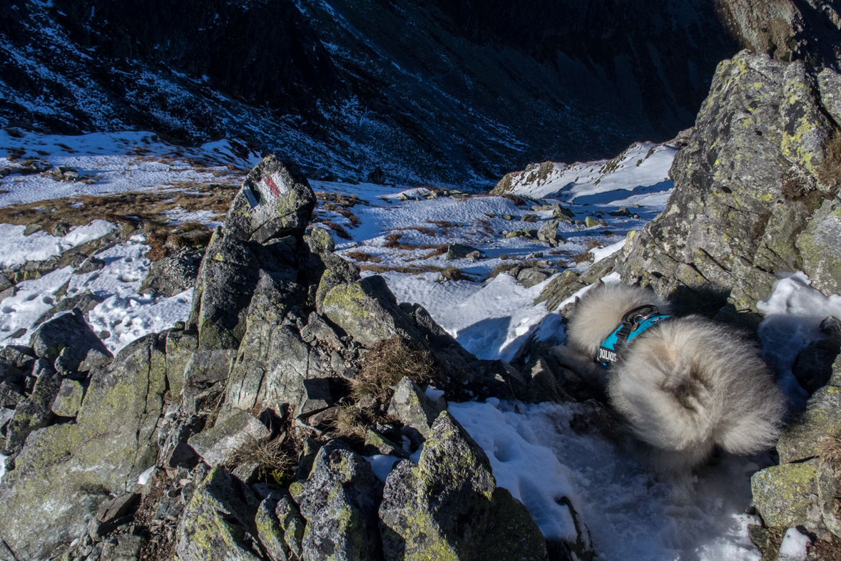 Baníkov zo Žiarskej doliny (Západné Tatry)