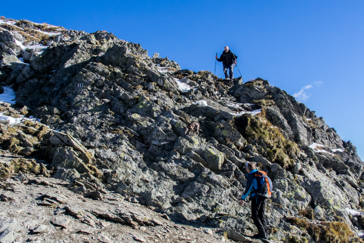 Baníkov zo Žiarskej doliny (Západné Tatry)