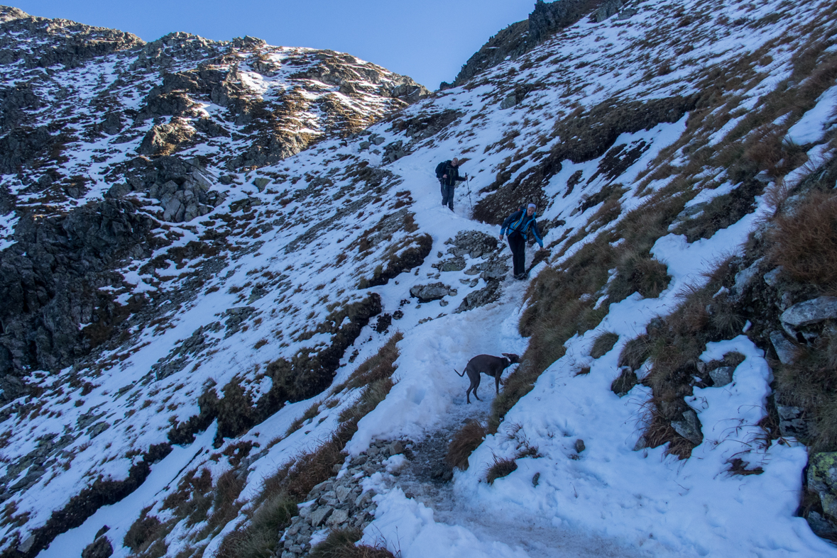 Baníkov zo Žiarskej doliny (Západné Tatry)