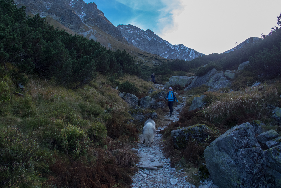 Baníkov zo Žiarskej doliny (Západné Tatry)