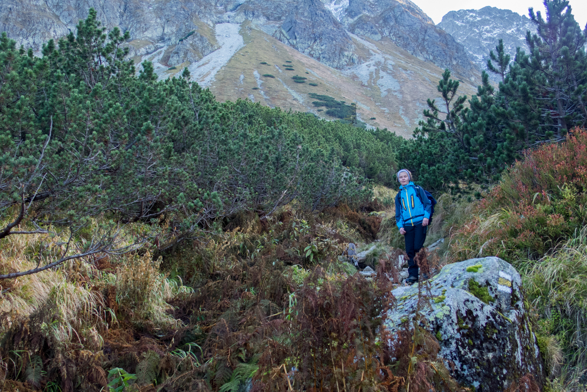 Baníkov zo Žiarskej doliny (Západné Tatry)