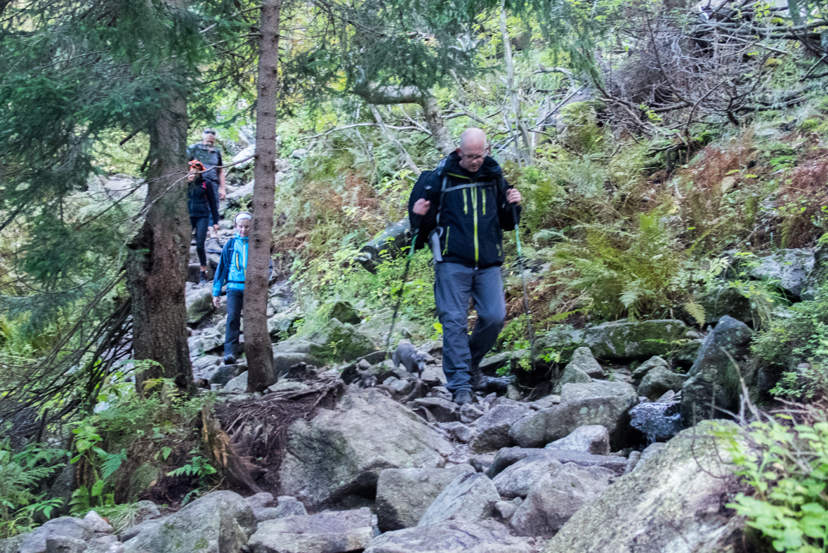 Baníkov zo Žiarskej doliny (Západné Tatry)