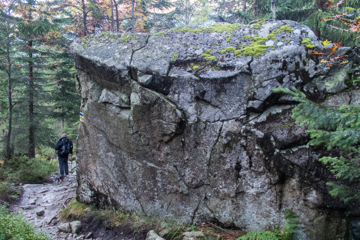 Baníkov zo Žiarskej doliny (Západné Tatry)