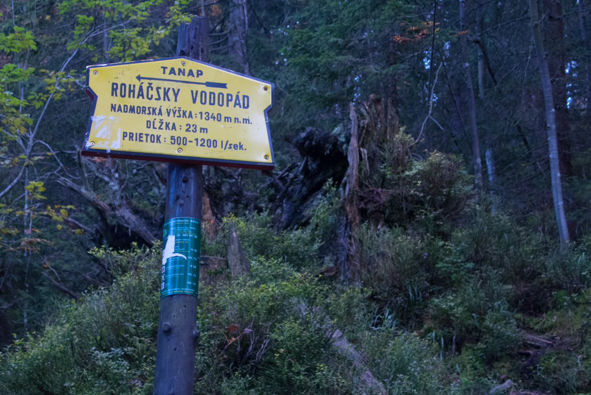 Baníkov zo Žiarskej doliny (Západné Tatry)