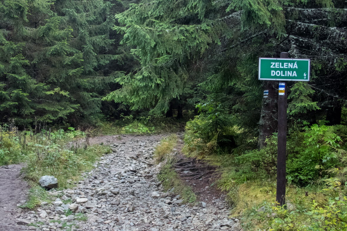 Baníkov zo Žiarskej doliny (Západné Tatry)