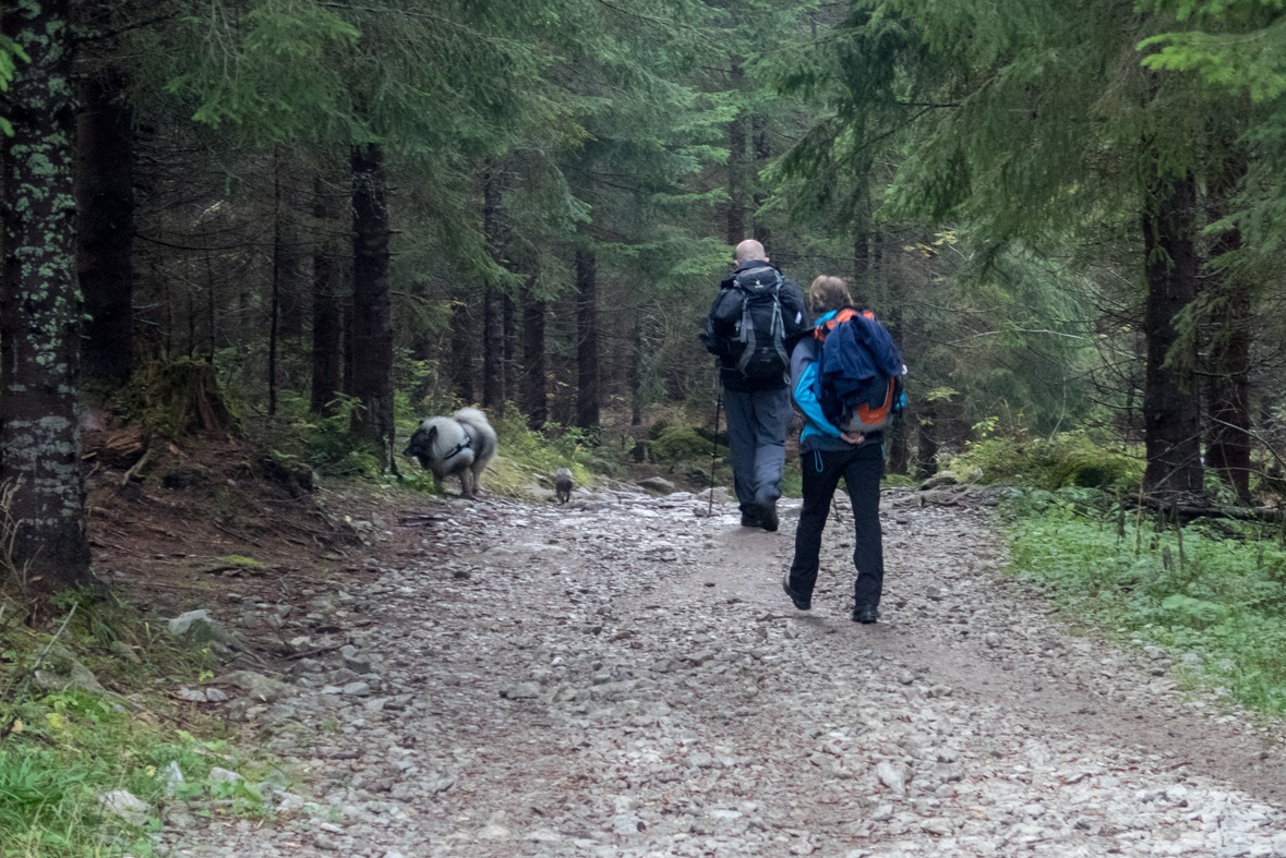 Baníkov zo Žiarskej doliny (Západné Tatry)