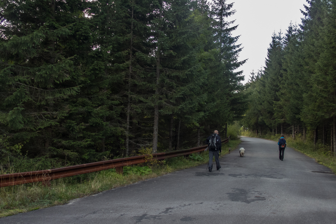 Baníkov zo Žiarskej doliny (Západné Tatry)