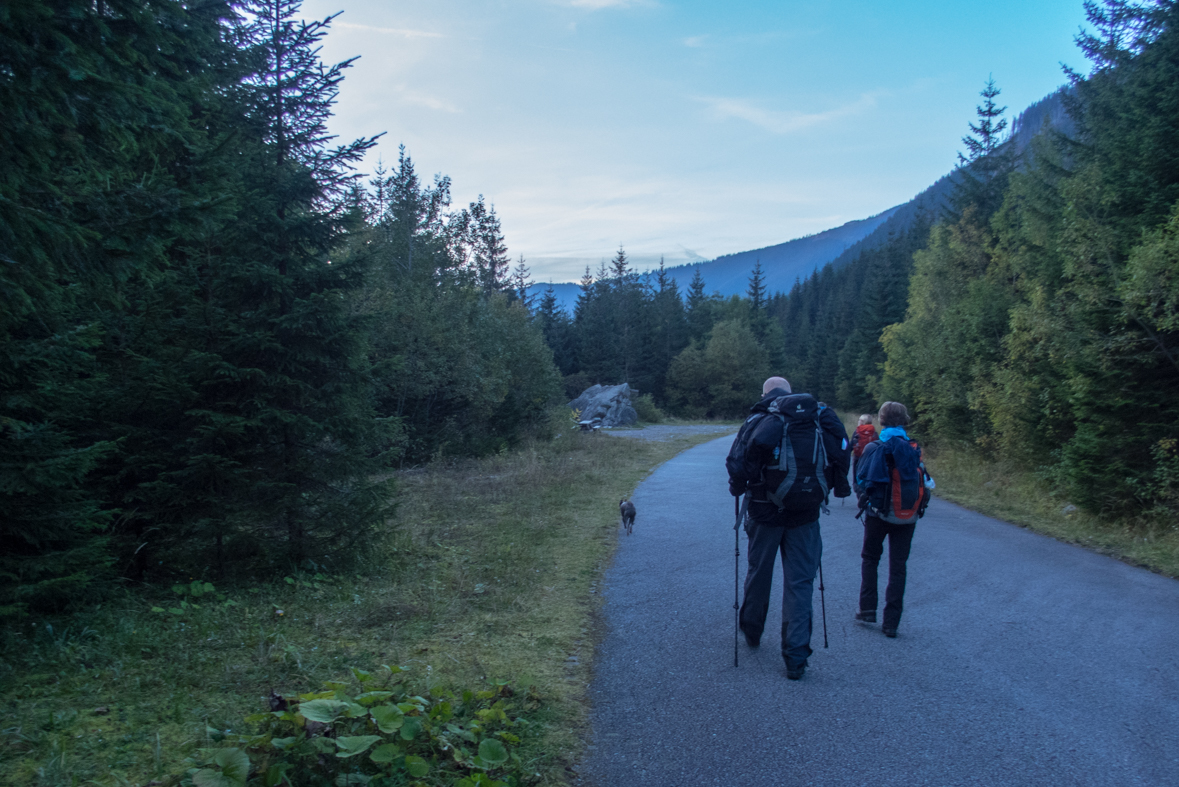 Baníkov zo Žiarskej doliny (Západné Tatry)