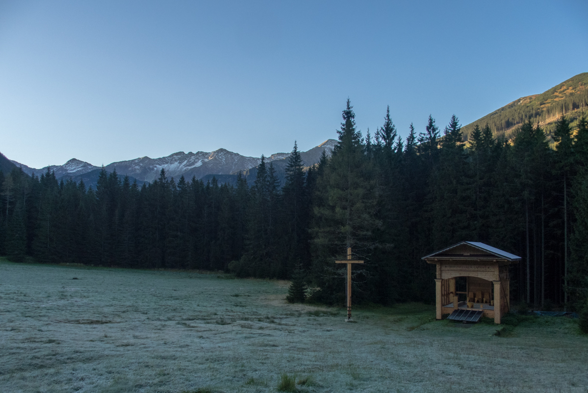 Brestová z chaty Zverovka (Západné Tatry)