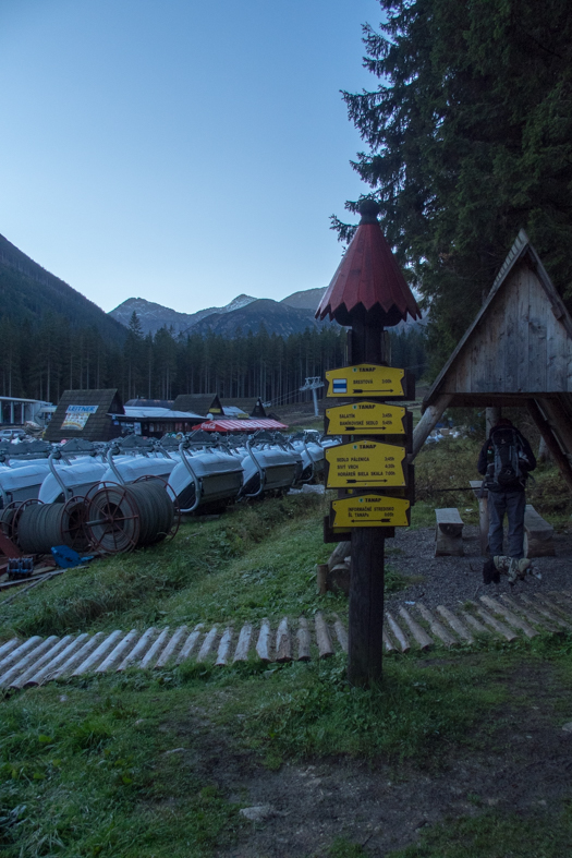 Brestová z chaty Zverovka (Západné Tatry)