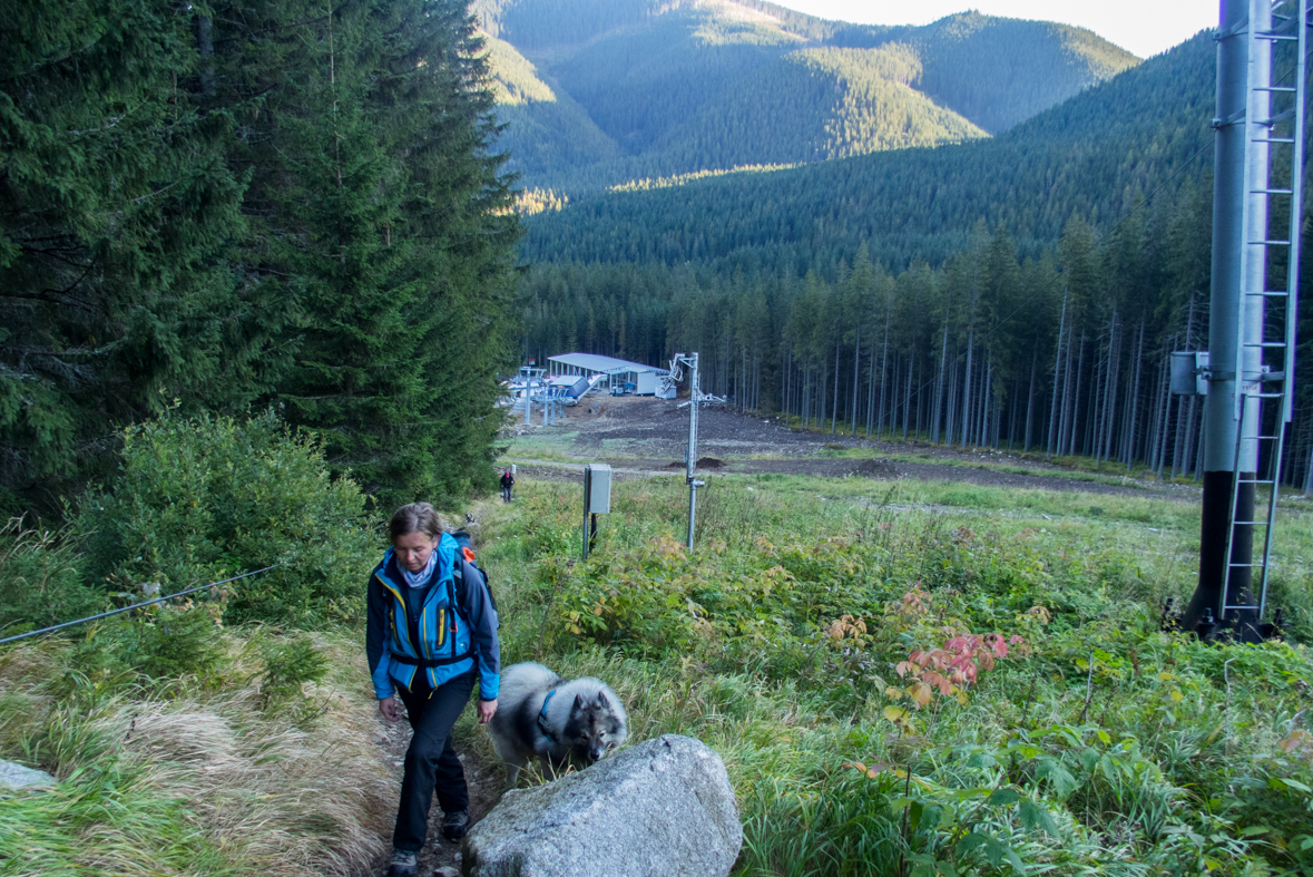 Brestová z chaty Zverovka (Západné Tatry)