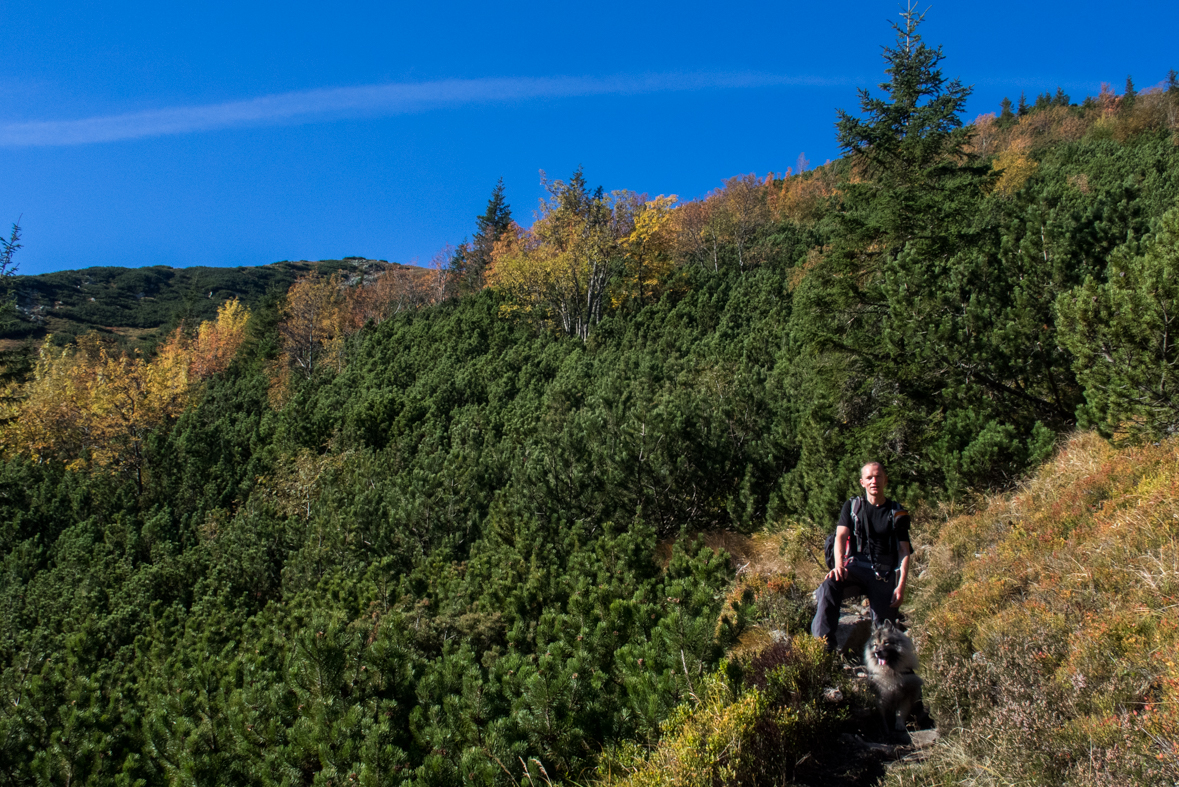 Brestová z chaty Zverovka (Západné Tatry)