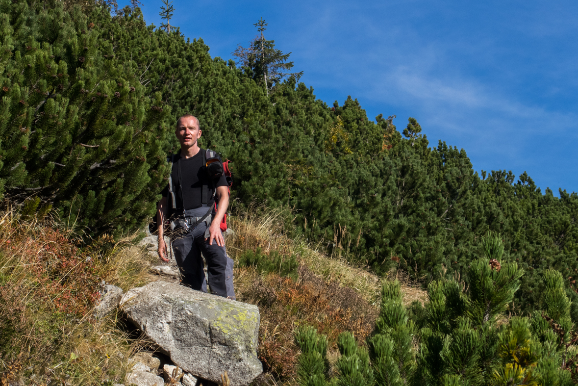 Brestová z chaty Zverovka (Západné Tatry)