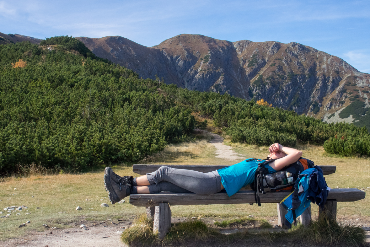 Brestová z chaty Zverovka (Západné Tatry)