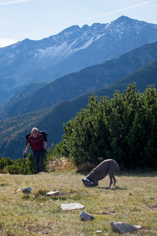 Brestová z chaty Zverovka (Západné Tatry)